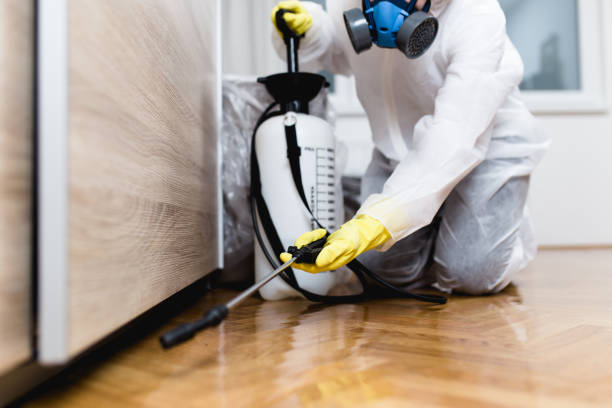 Best Local Pest Control Services  in Glenshaw, PA