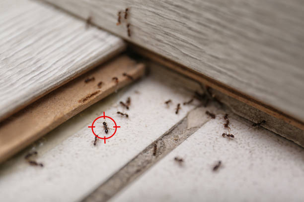 Best Pest Prevention Services  in Glenshaw, PA