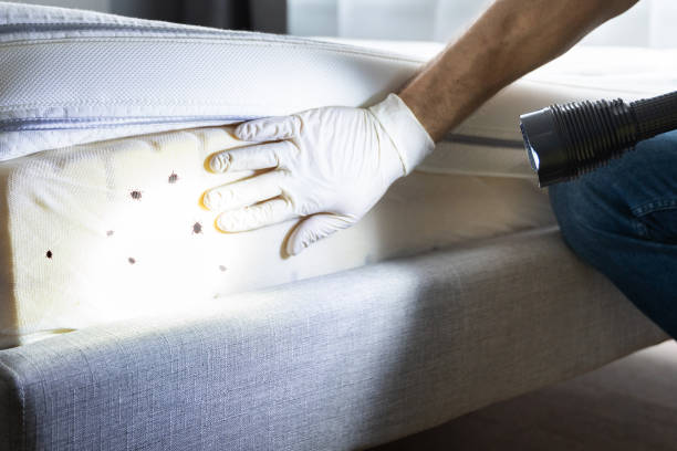 Trusted Glenshaw, PA Pest Control Experts