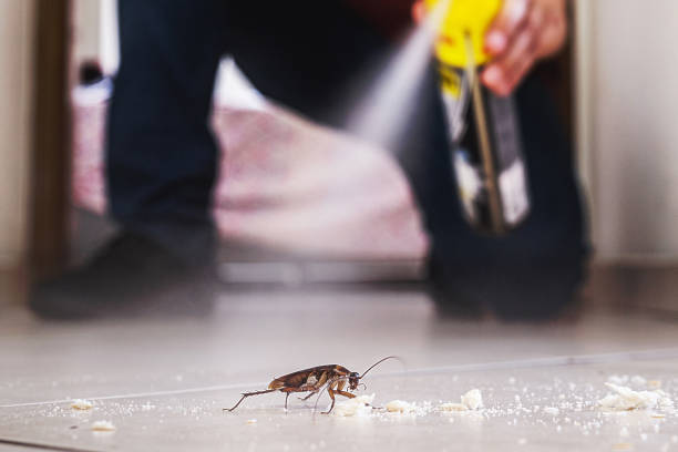 Best Pest Inspection Near Me  in Glenshaw, PA