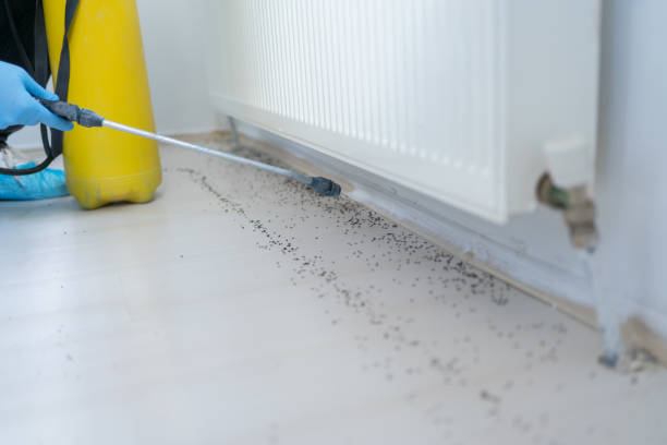 Pest Control for Restaurants in Glenshaw, PA